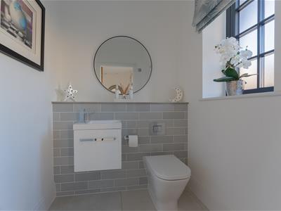 Picture 16